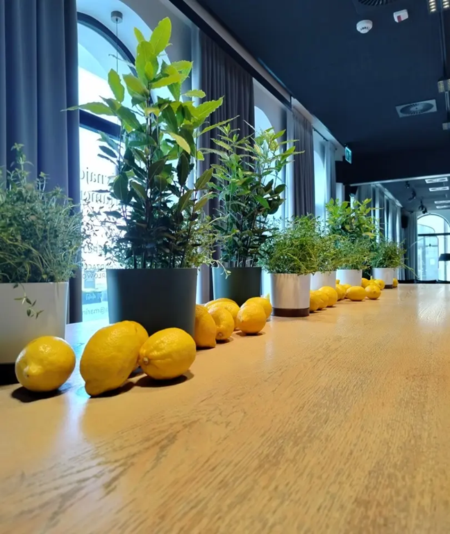 zasłony restauracja Darłowo